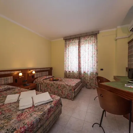 Hotel New Petit 3*