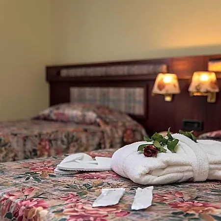 Hotel New Petit 3*